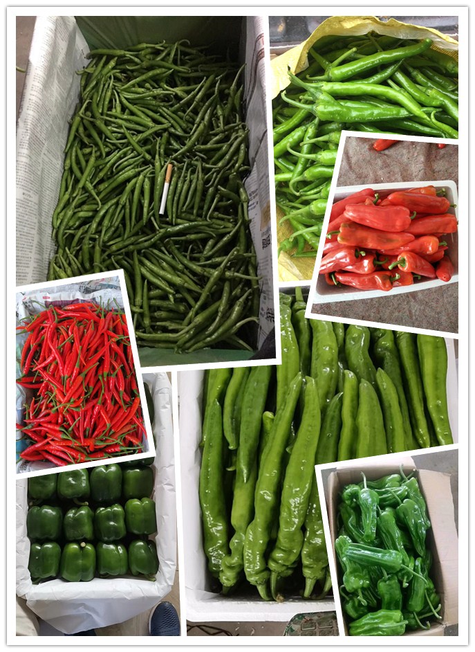 Z6���������ǲ�(�й���)���޹�˾����