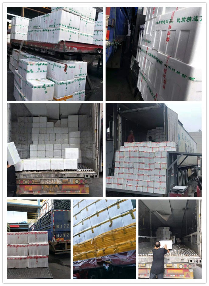 Z6���������ǲ�(�й���)���޹�˾����