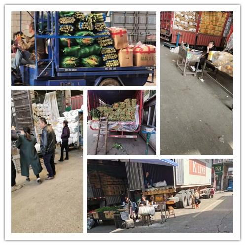 Z6���������ǲ�(�й���)���޹�˾����