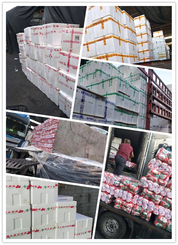 Z6���������ǲ�(�й���)���޹�˾����