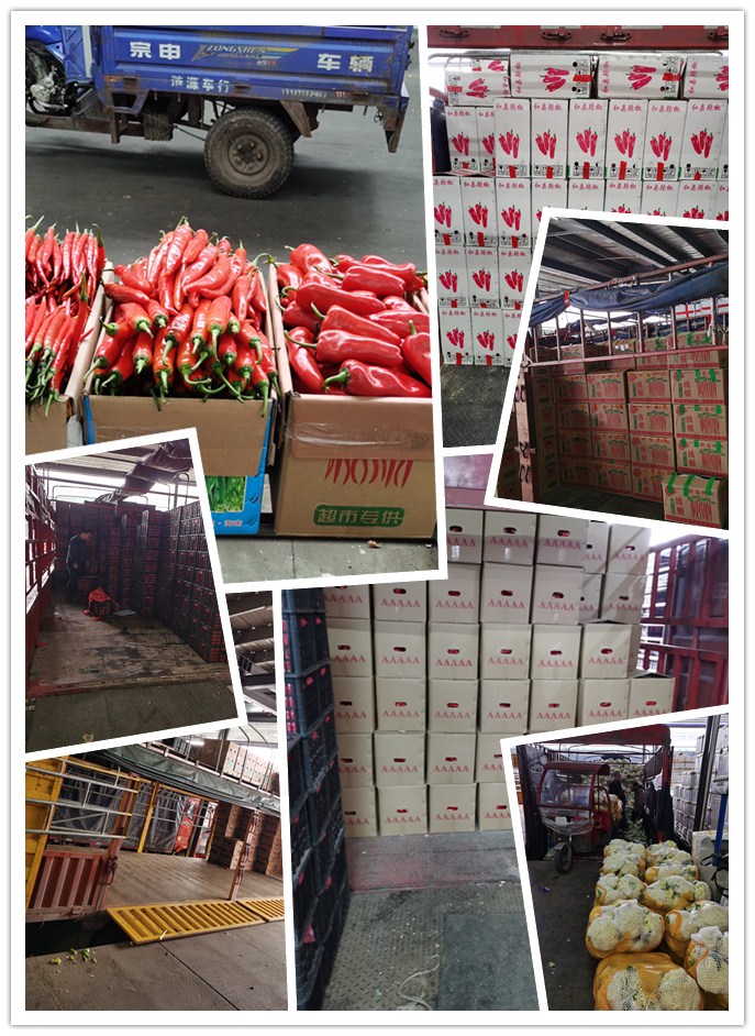 Z6���������ǲ�(�й���)���޹�˾����