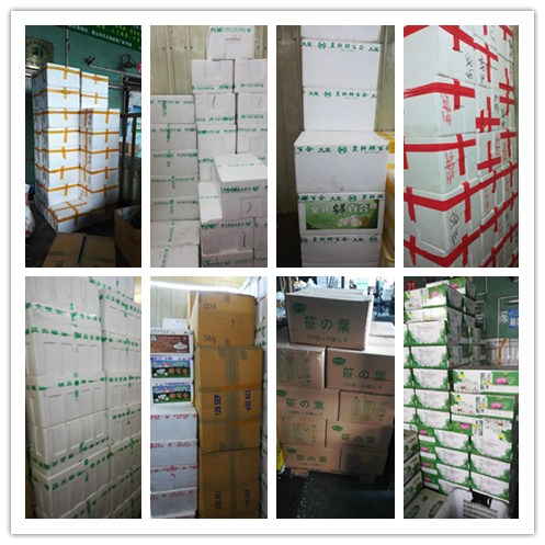 Z6���������ǲ�(�й���)���޹�˾����