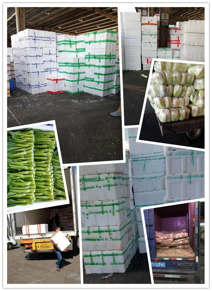 Z6���������ǲ�(�й���)���޹�˾����