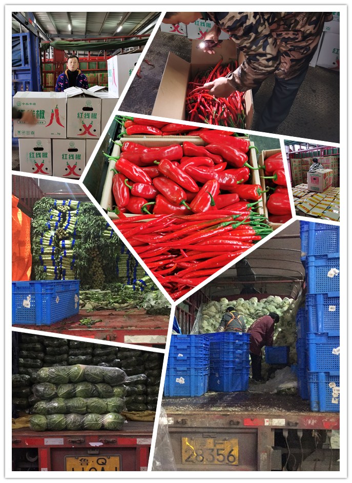 Z6���������ǲ�(�й���)���޹�˾����