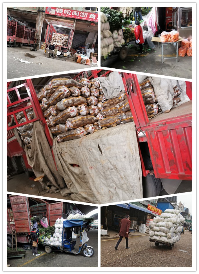 Z6���������ǲ�(�й���)���޹�˾����