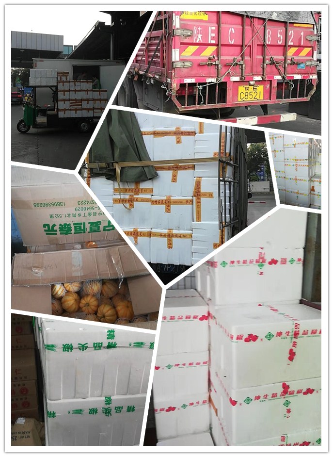 Z6���������ǲ�(�й���)���޹�˾����