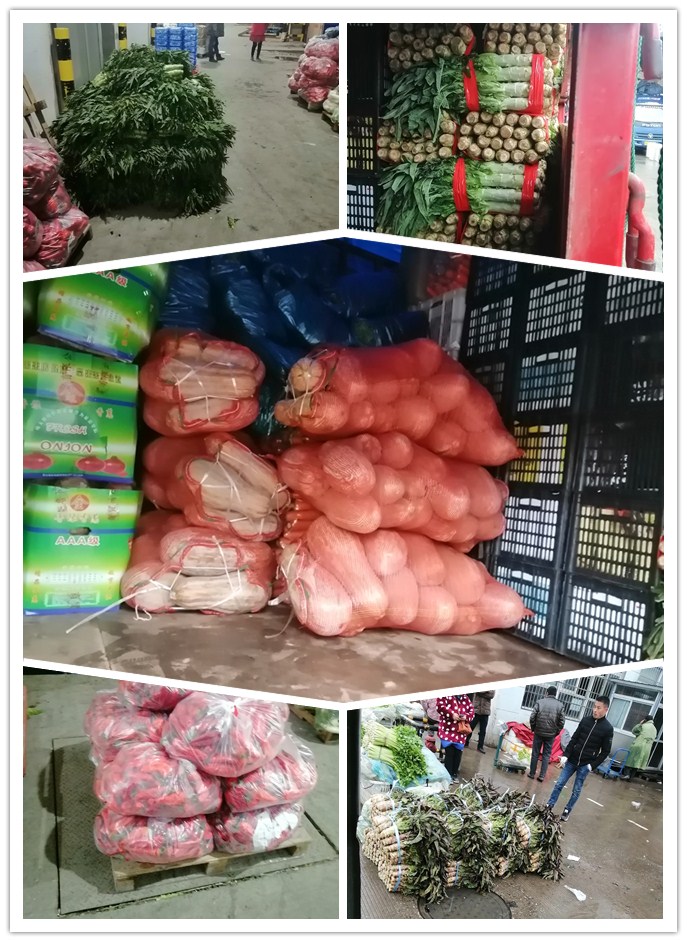 Z6���������ǲ�(�й���)���޹�˾����