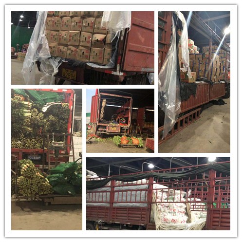 Z6���������ǲ�(�й���)���޹�˾����