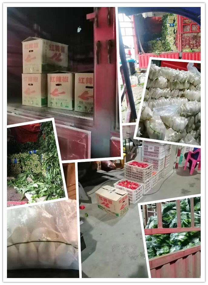 Z6���������ǲ�(�й���)���޹�˾����