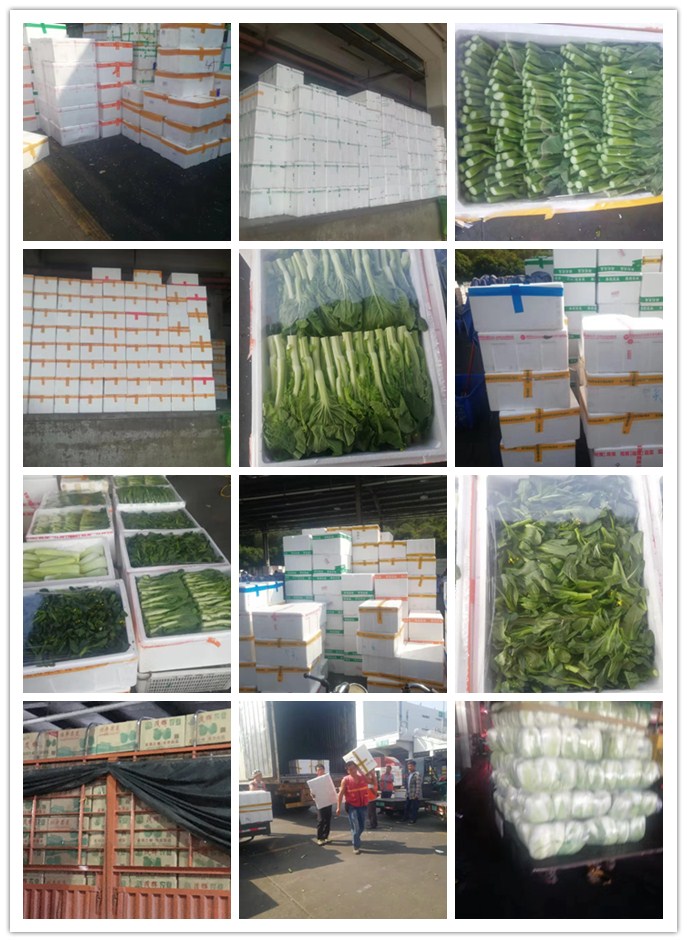 Z6���������ǲ�(�й���)���޹�˾����