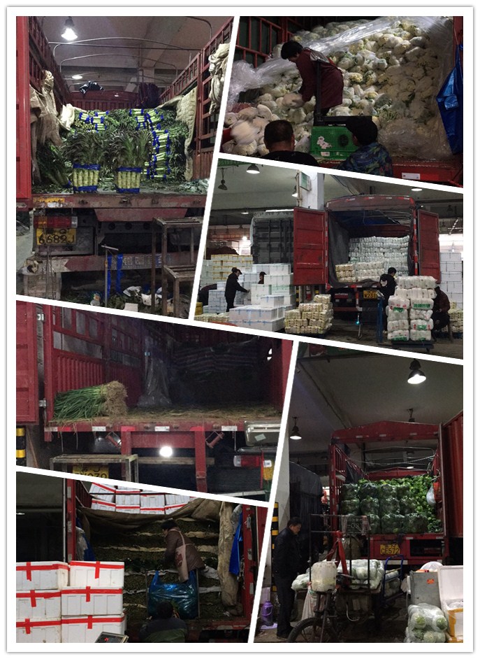 Z6���������ǲ�(�й���)���޹�˾����