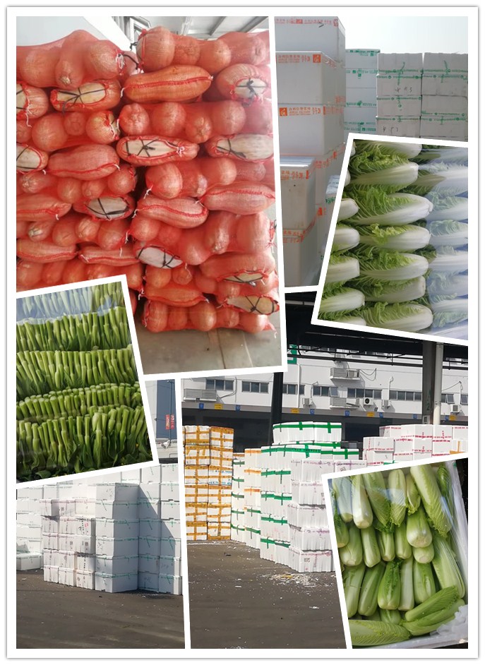 Z6���������ǲ�(�й���)���޹�˾����