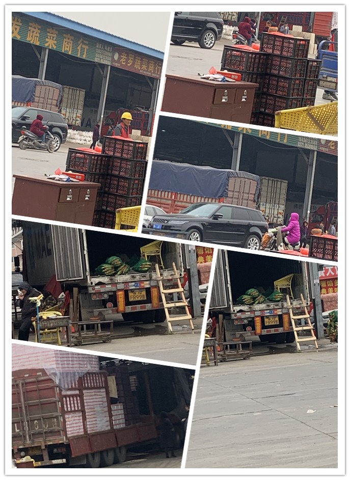 Z6���������ǲ�(�й���)���޹�˾����