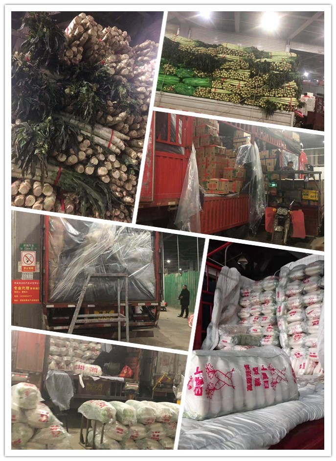 Z6���������ǲ�(�й���)���޹�˾����