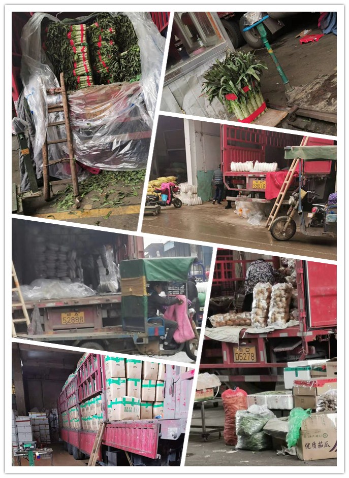 Z6���������ǲ�(�й���)���޹�˾����