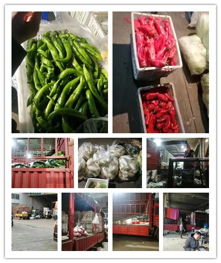 Z6���������ǲ�(�й���)���޹�˾����