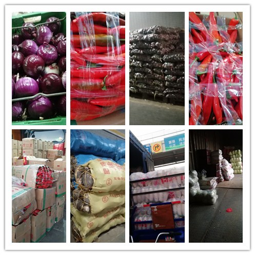 Z6���������ǲ�(�й���)���޹�˾����