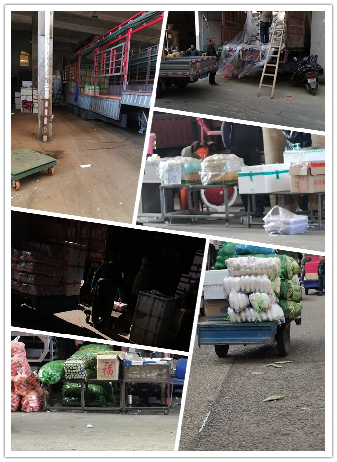 Z6���������ǲ�(�й���)���޹�˾����