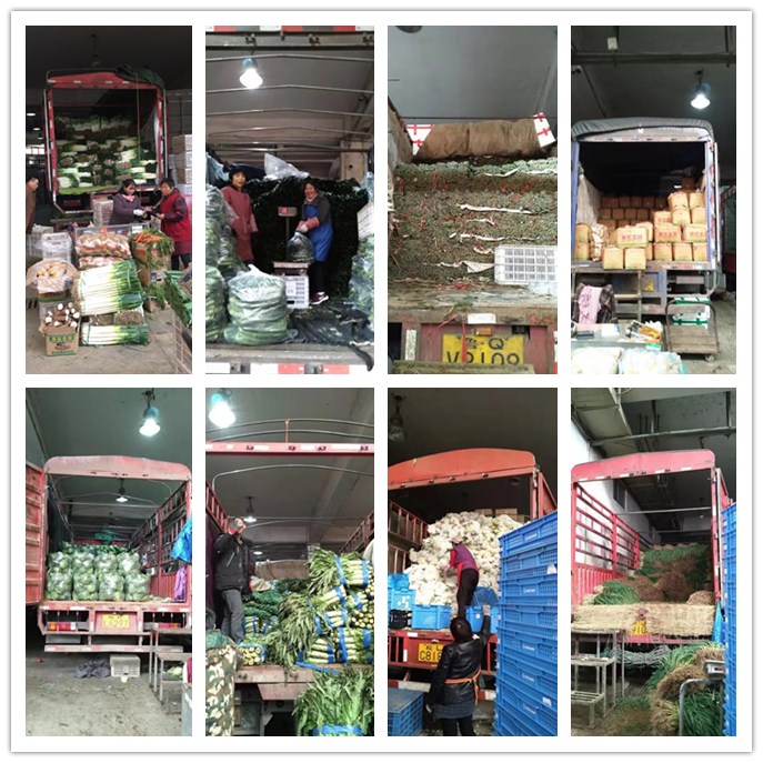 Z6���������ǲ�(�й���)���޹�˾����