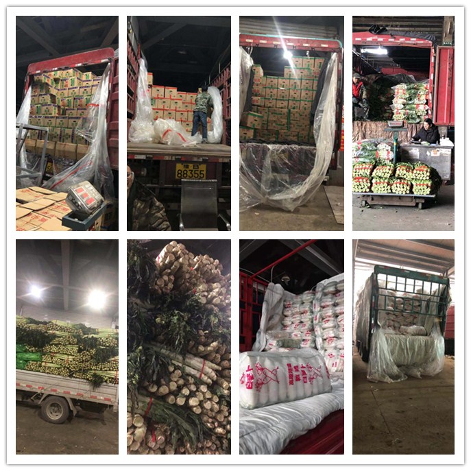 Z6���������ǲ�(�й���)���޹�˾����