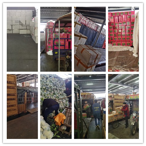 Z6���������ǲ�(�й���)���޹�˾����