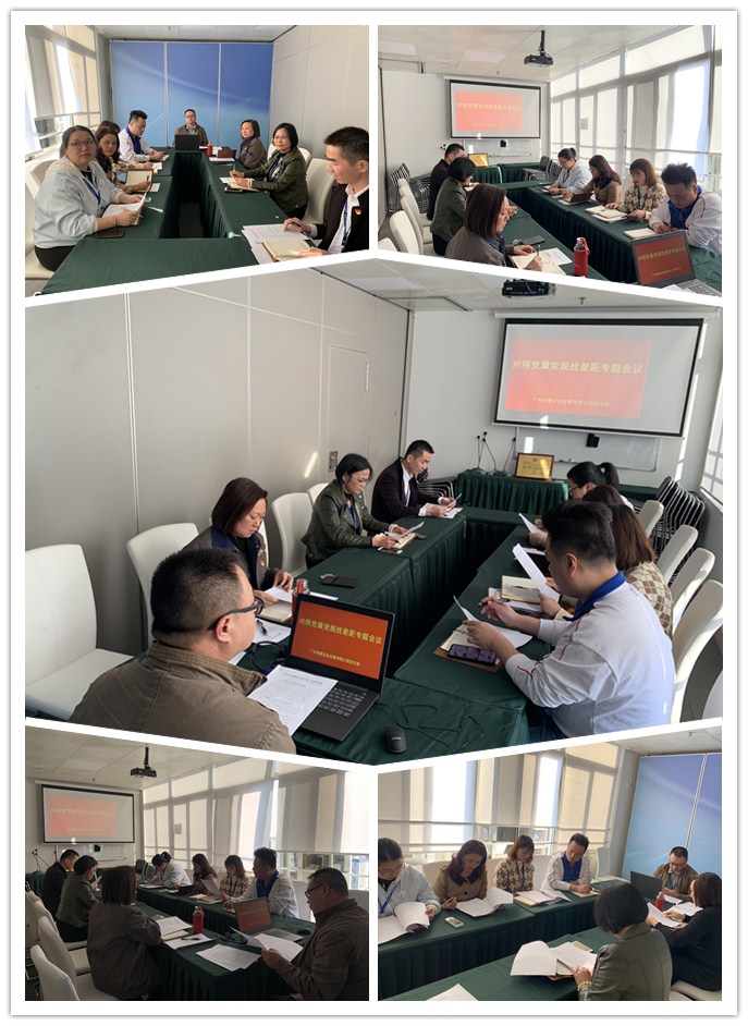 Z6���������ǲ�(�й���)���޹�˾����