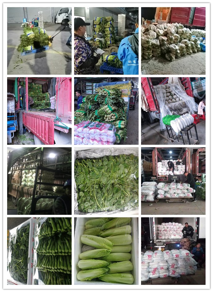 Z6���������ǲ�(�й���)���޹�˾����