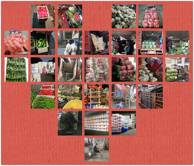 Z6���������ǲ�(�й���)���޹�˾����