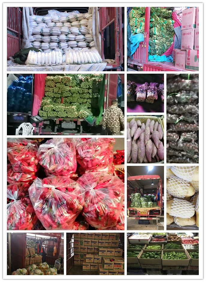 Z6���������ǲ�(�й���)���޹�˾����