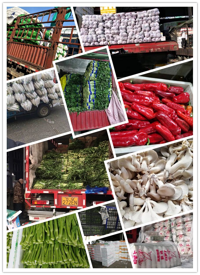 Z6���������ǲ�(�й���)���޹�˾����