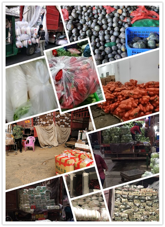 Z6���������ǲ�(�й���)���޹�˾����