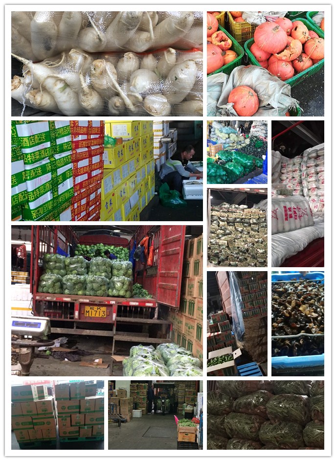 Z6���������ǲ�(�й���)���޹�˾����