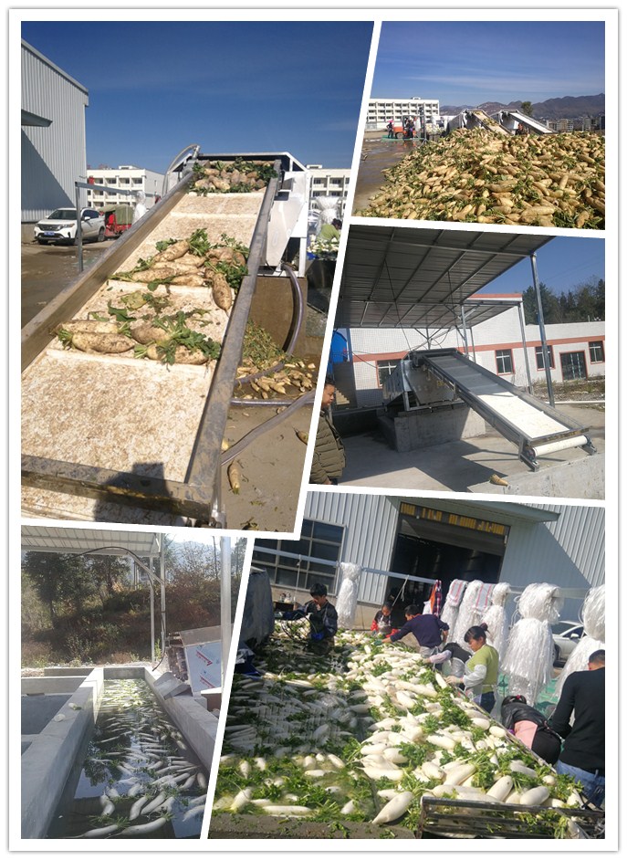 Z6���������ǲ�(�й���)���޹�˾����