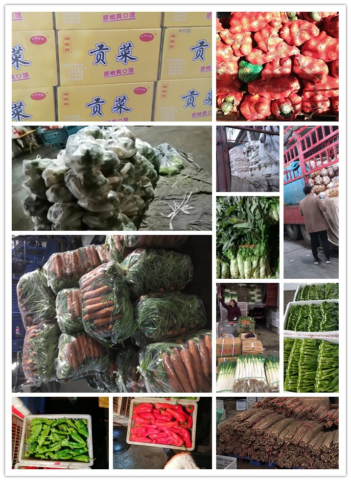 Z6���������ǲ�(�й���)���޹�˾����