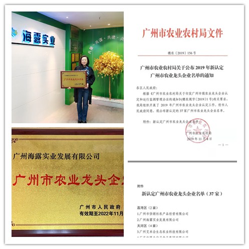 Z6���������ǲ�(�й���)���޹�˾����