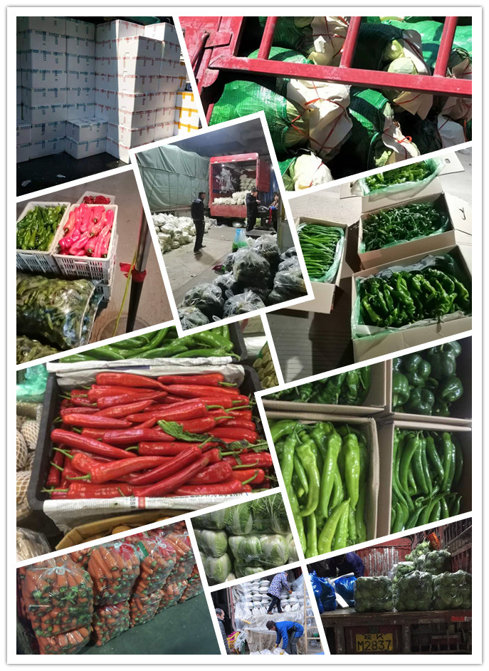 Z6���������ǲ�(�й���)���޹�˾����