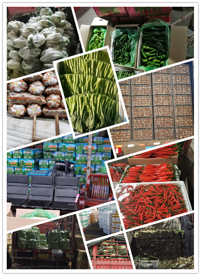 Z6���������ǲ�(�й���)���޹�˾����