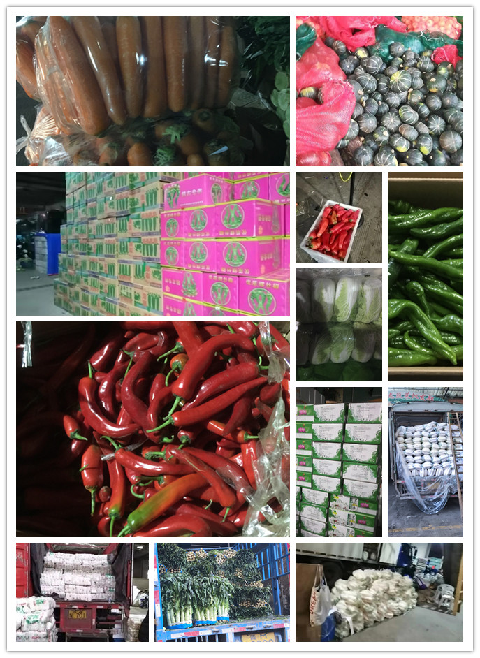 Z6���������ǲ�(�й���)���޹�˾����