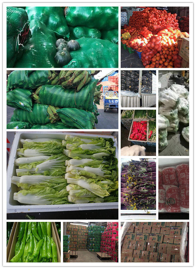 Z6���������ǲ�(�й���)���޹�˾����