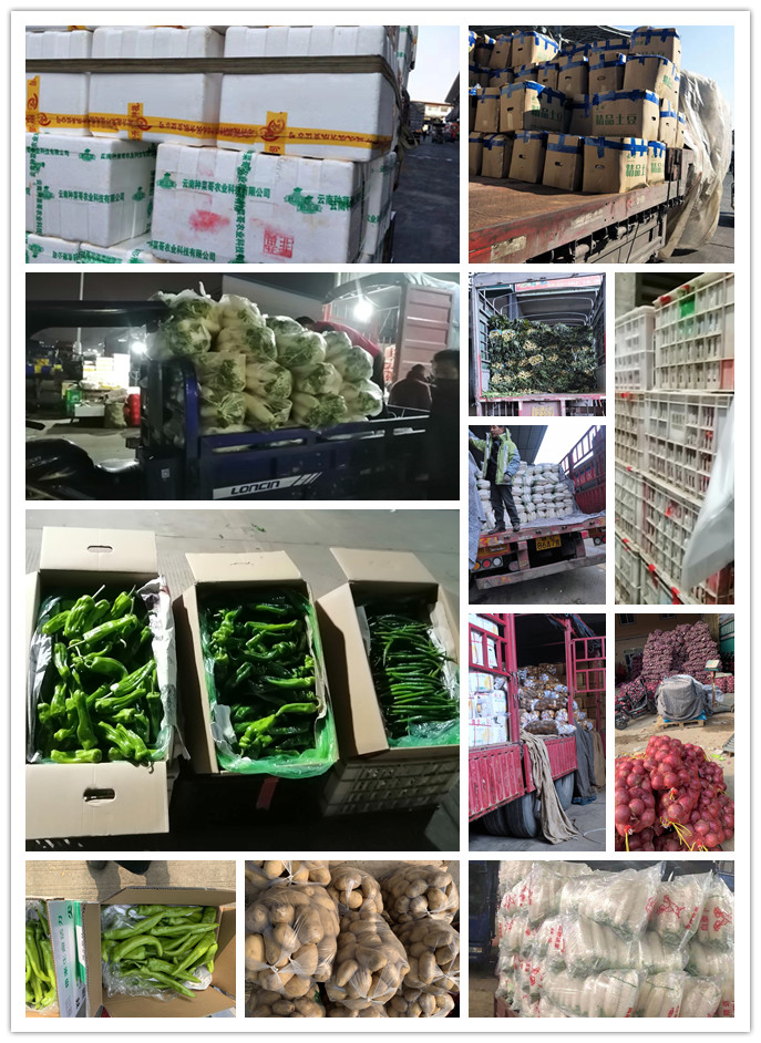 Z6���������ǲ�(�й���)���޹�˾����