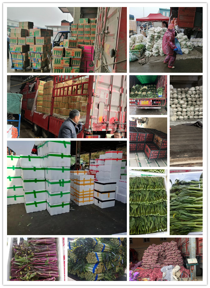 Z6���������ǲ�(�й���)���޹�˾����