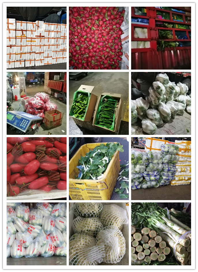 Z6���������ǲ�(�й���)���޹�˾����