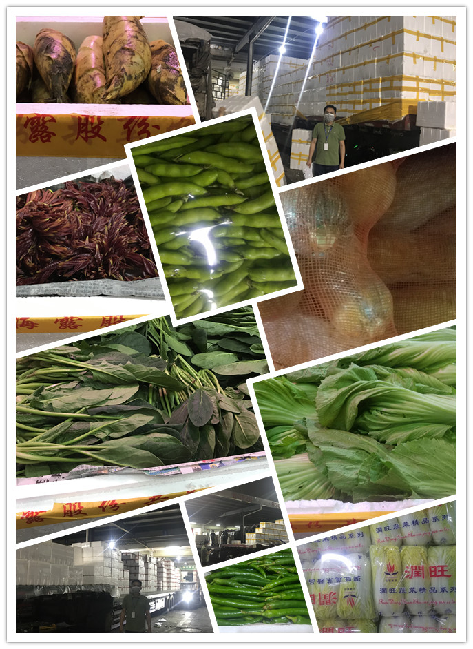 Z6���������ǲ�(�й���)���޹�˾����