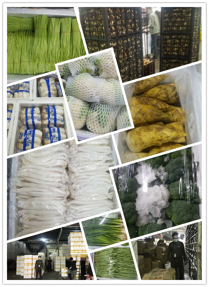 Z6���������ǲ�(�й���)���޹�˾����