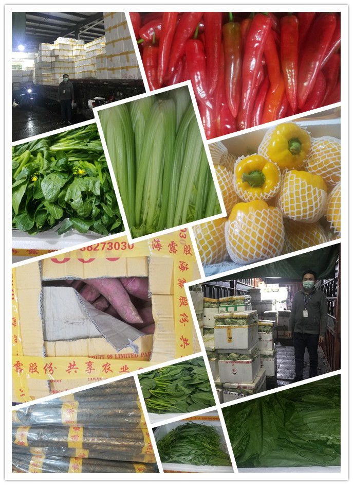 Z6���������ǲ�(�й���)���޹�˾����