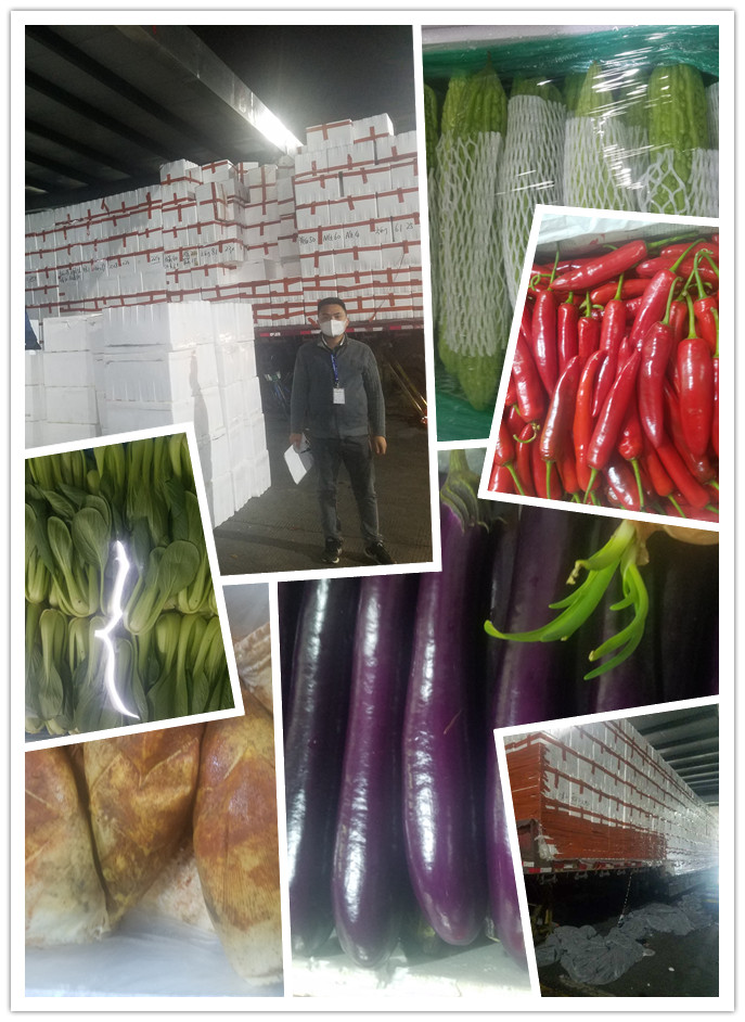 Z6���������ǲ�(�й���)���޹�˾����