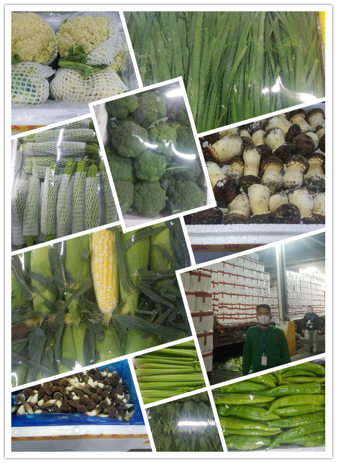 Z6���������ǲ�(�й���)���޹�˾����