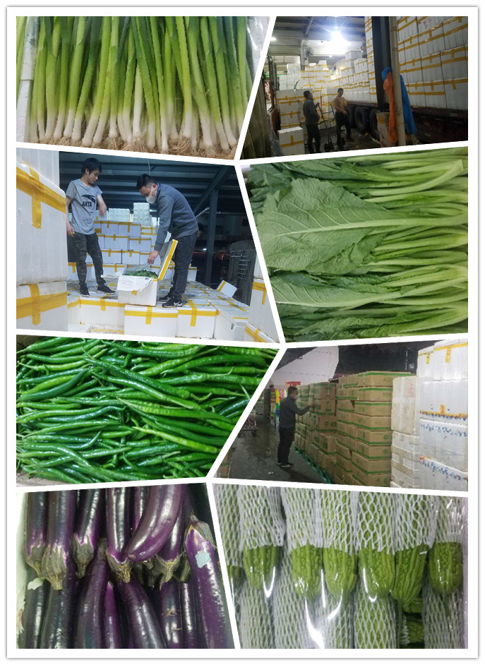 Z6���������ǲ�(�й���)���޹�˾����