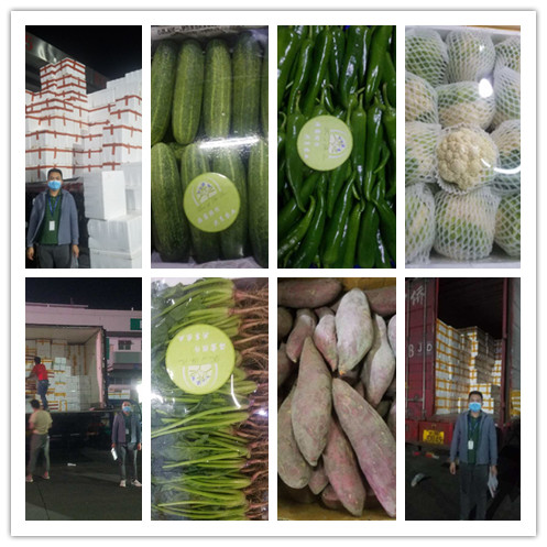 Z6���������ǲ�(�й���)���޹�˾����