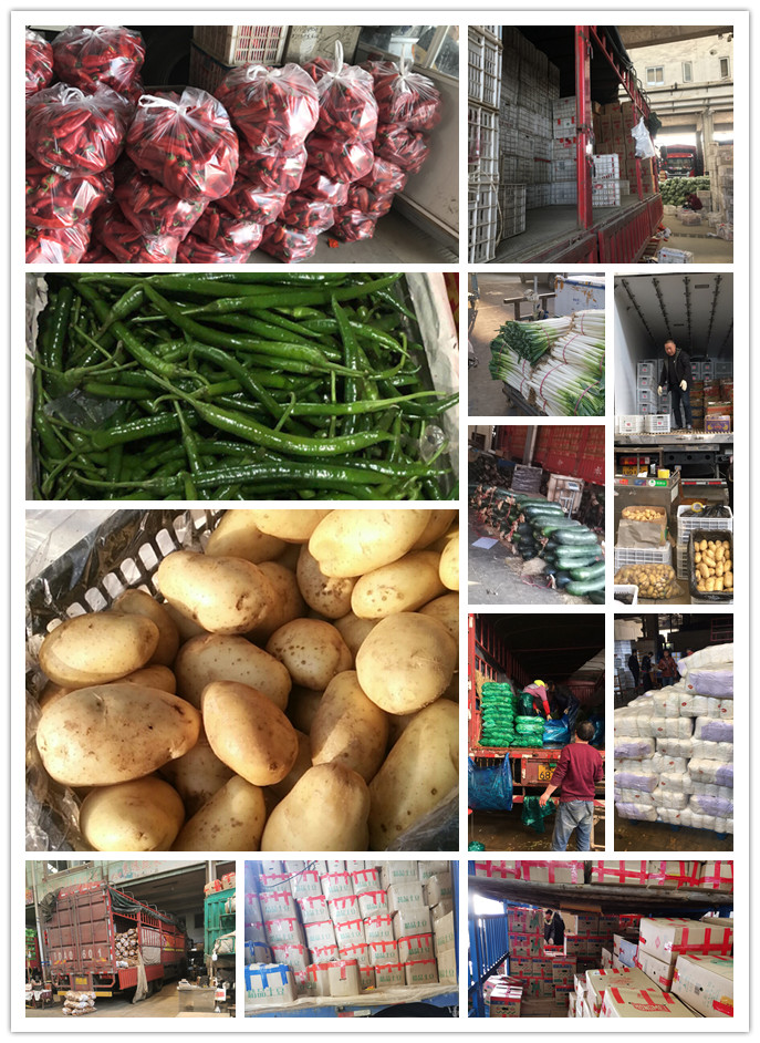 Z6���������ǲ�(�й���)���޹�˾����